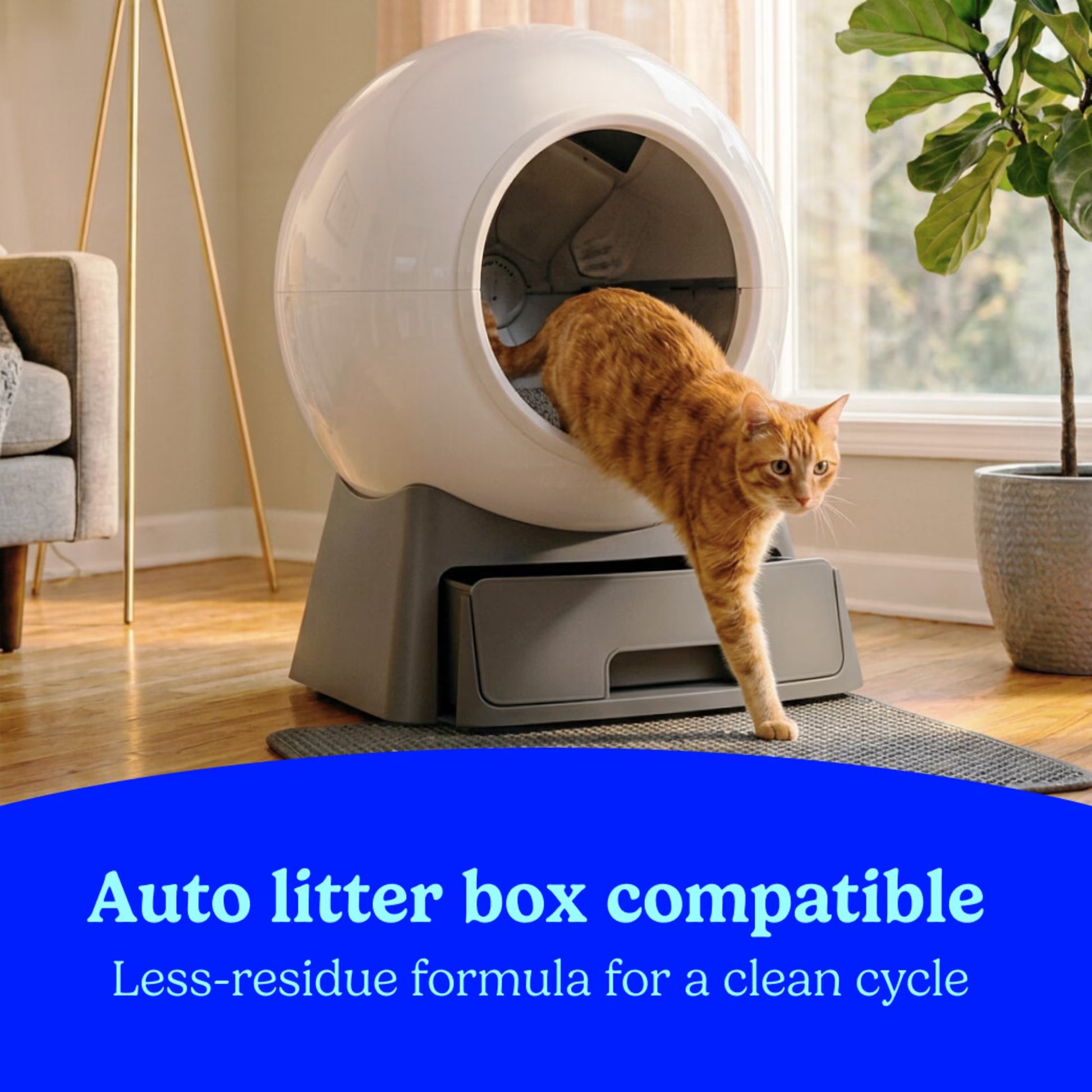 Simply Multi-Cat Clumping Cat Litter, Unscented, 14 Lb Box